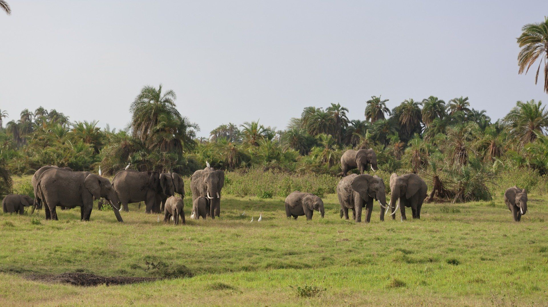 4 Days, 3 Nights Masai Mara Safari Itinerary